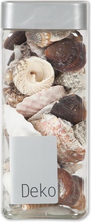 Produktbild Do it + Garden Muscheln