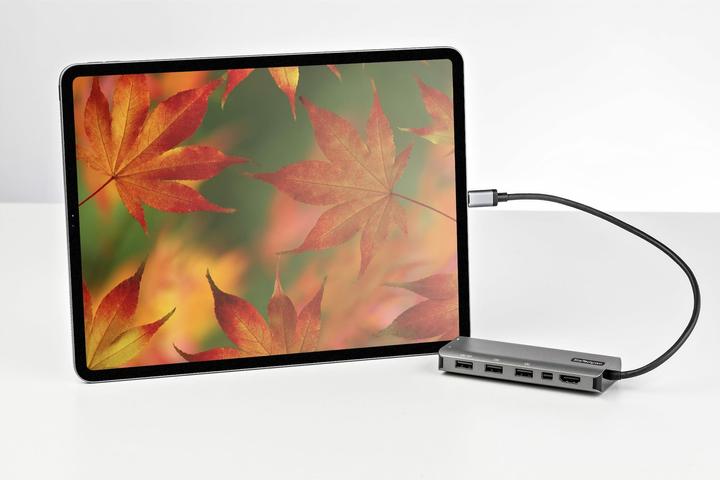Actual product image StarTech DKT31CMDPHPD (USB-C, 7 Ports)