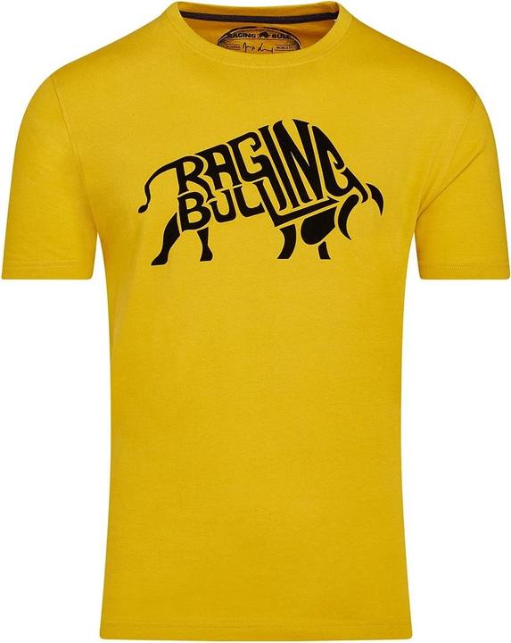 Raging Bull Flock TShirt (6XL)