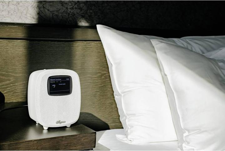 Immagine prodotto Sangean DCR-83 (DAB, FM, Bluetooth)