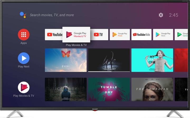 Actual product image Sharp 50BL3EA (50", BL2EF, LCD, 4K, 2019)