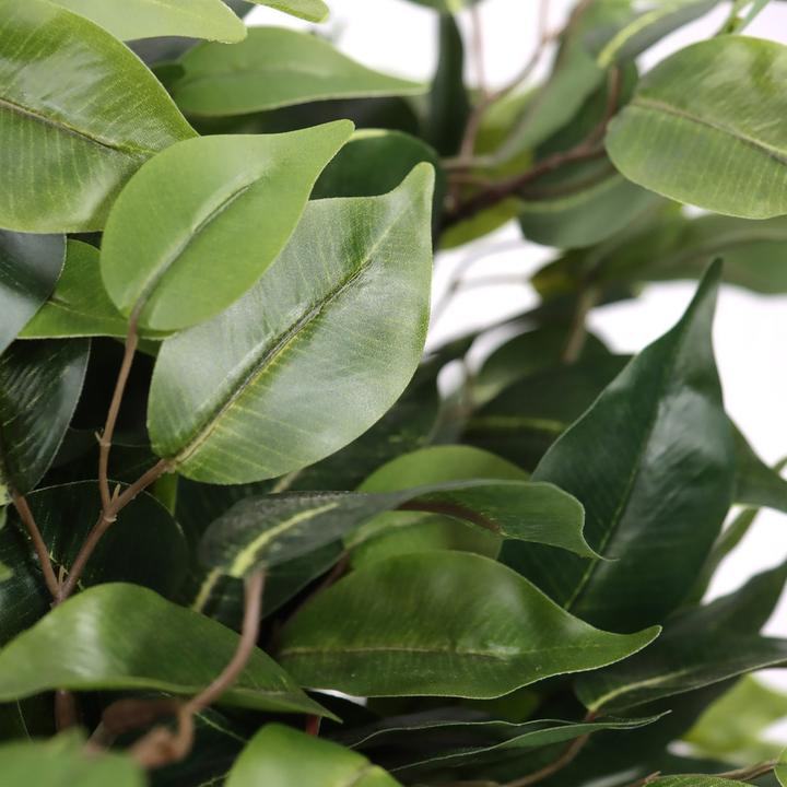 Actual product image Hjh Office Ficus Ii (65 cm)