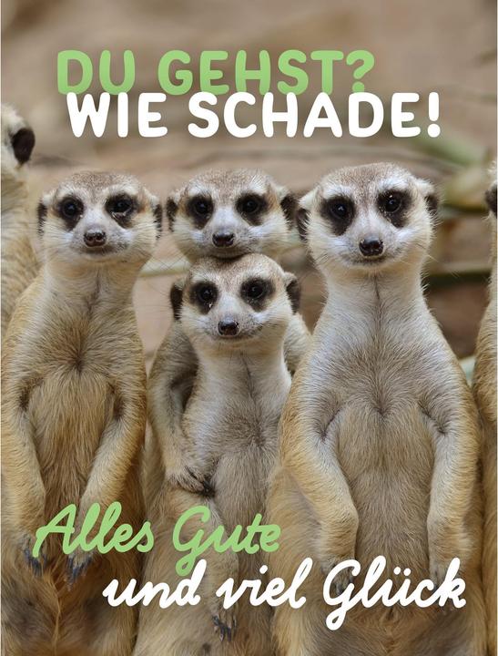 Produktbild Taurus Kunstkarten Abschiedskarte Erdmännchen - Maxi Card A4 (1 Stk.)