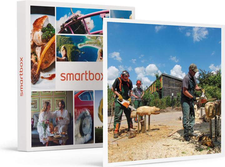 Produktbild Smartbox Kunst aus Holz: Schnitzen mit der Elektrosäge nahe Karlsruhe (1 Pers.)