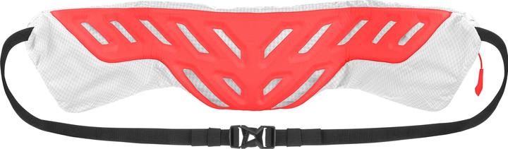 Image du produit Salewa Pedroc Hipbelt