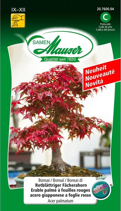 Produktbild Samen Mauser Bonsai Rotblättriger Fächerahorn
