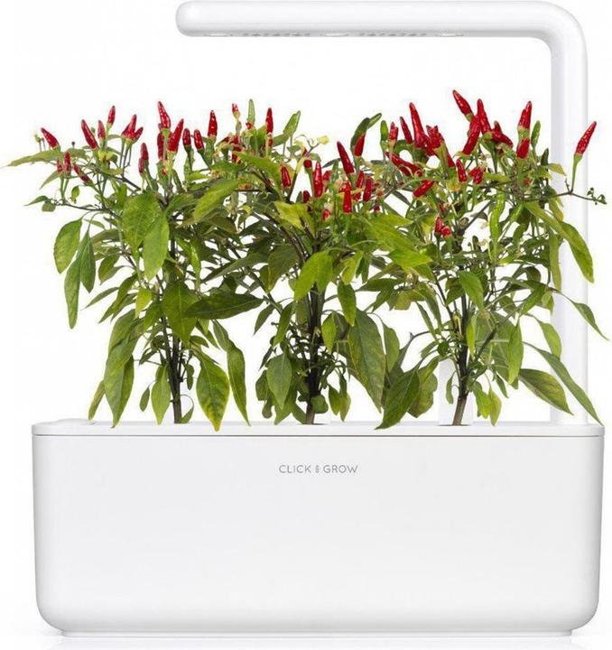 Produktbild Click and Grow Piri Piri Chili (Gemüsesamen)