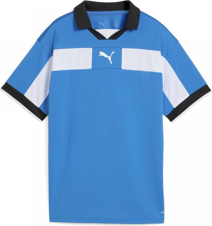 Actual product image Puma teamCLASSIC Match Jersey Jr (128)