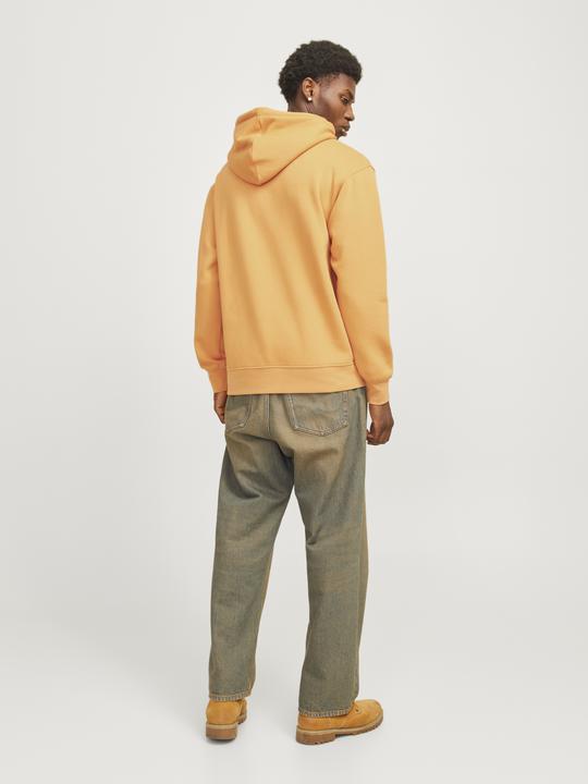 Image du produit Jack & Jones Imprimé Sweat à capuche Sweat à capuche (S)