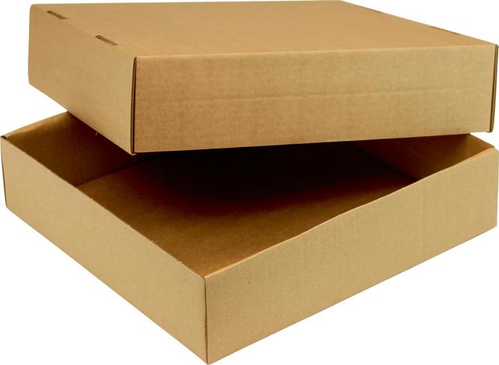 Produktbild Transpak Trans-pak Stülpdeckelkarton braun 335 x 230 x 45 mm C4 2-teilig (2 x)