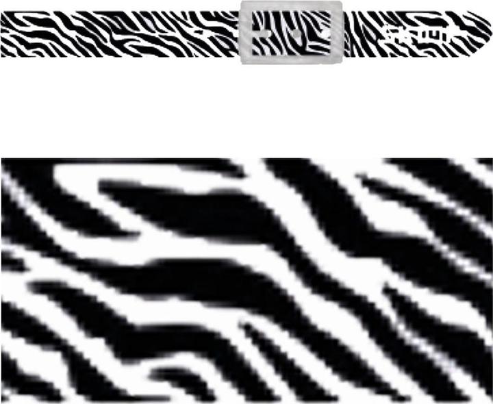 Actual product image Skimp Belt Wild