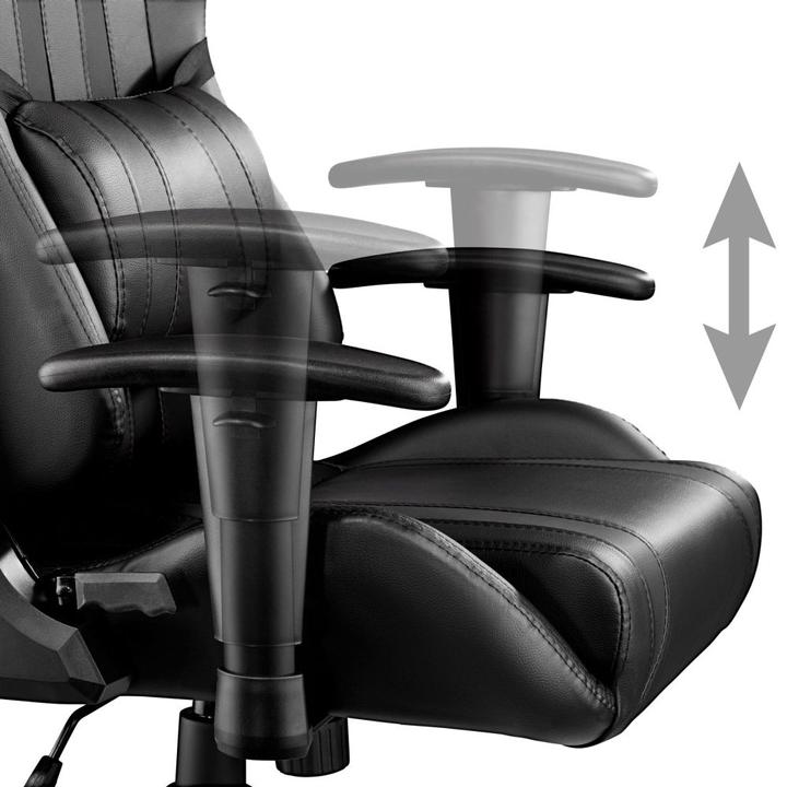 Image du produit tectake Premium Racing