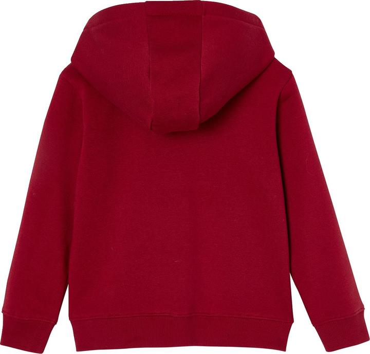 Actual product image Vertbaudet Jungen Kapuzensweatjacke BASIC mit Recycling-Polyester (92)
