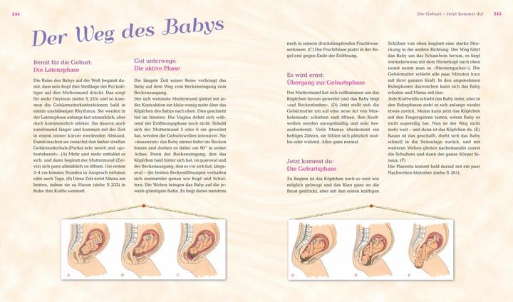 Actual product image Das grosse Mama-Handbuch (German, Vivian Weweigert, 2018)