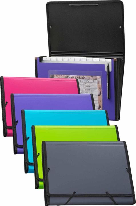 Actual product image Kolma Folder A4 superstrong 12 tabs anthracite (A4, 1 x)