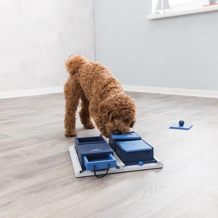 Produktbild Trixie Poker Box 2 (Intelligenzspielzeug Hund)