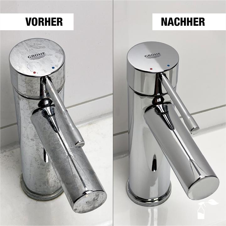 Actual product image Bio-chem Bathroom and Sanitary Cleaner Refill 1 l