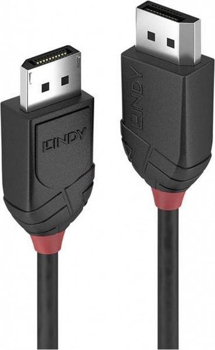 Lindy DisplayPort — DisplayPort (0.50 m, DisplayPort)