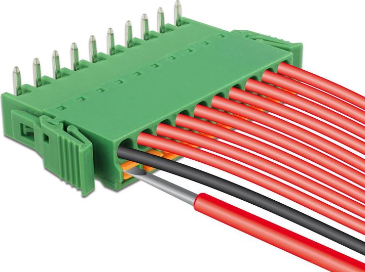 Image du produit Delock Bloc terminal Grille horizontale (Accessoires pour câbles)