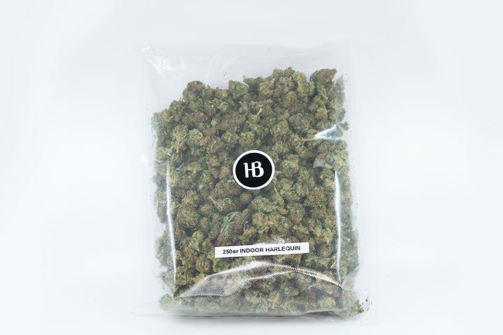 Produktbild Herba di Berna Harlequin (250 g, Indoor)