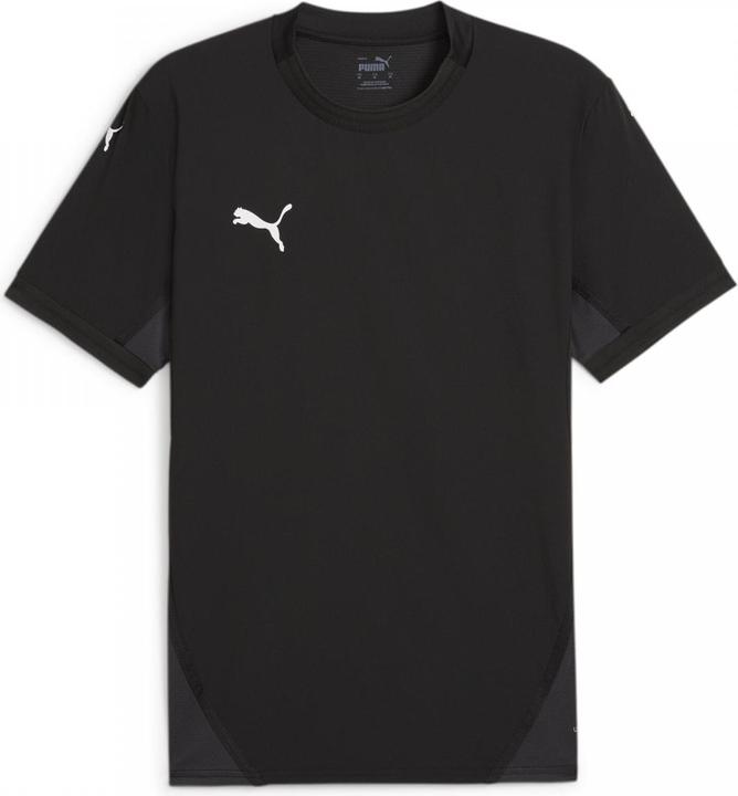Actual product image Puma teamFINAL Jersey (L)
