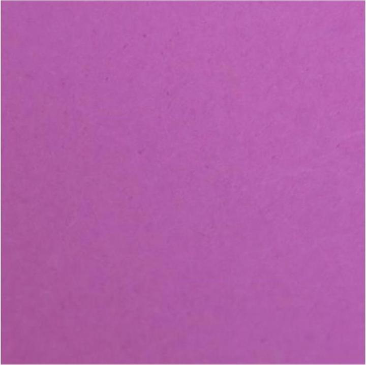 Image du produit Savage Fond 1.35 x 11 m couleur prune (135 cm, 1100 cm)