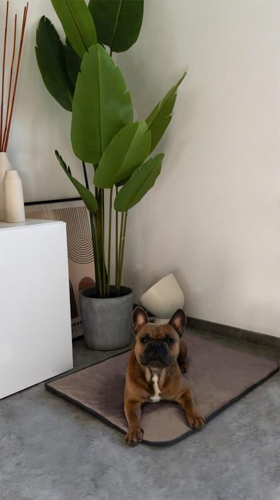Produktbild Aspero Hundedecke Lund (Hund)