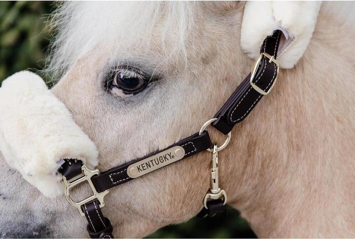 Actual product image Kentucky Horsewear Pony leather halter