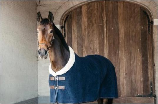Actual product image Kentucky Horsewear Sweat rug Fleece Show (145 cm)