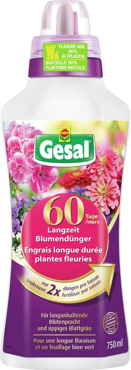 Produktbild Gesal Langzeit Blumendünger (0.93 kg, 0.75 l)