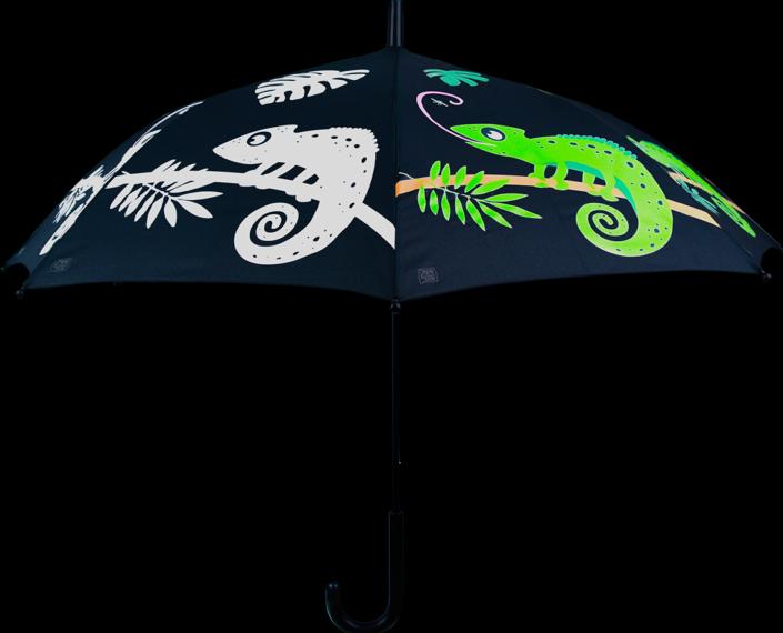 Actual product image Esschert Design Chameleon