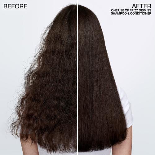 Image du produit Redken Frizz Dismiss (300 ml)