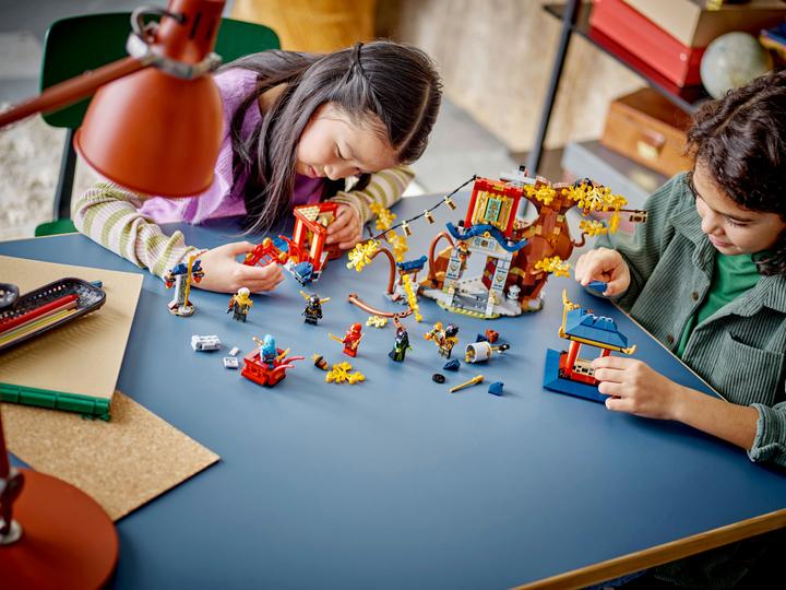 Immagine prodotto LEGO NINJAGO - Il Tempio del Potere del Drago (71795, LEGO Ninjago)