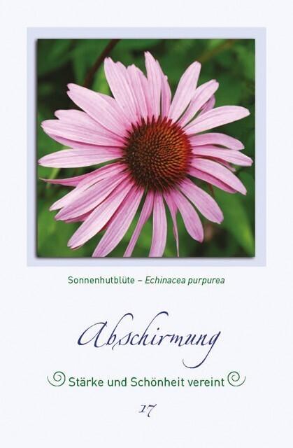 Produktbild Magische Pflanzenbilder (Deutsch, Thomas Kinkele, 2013)