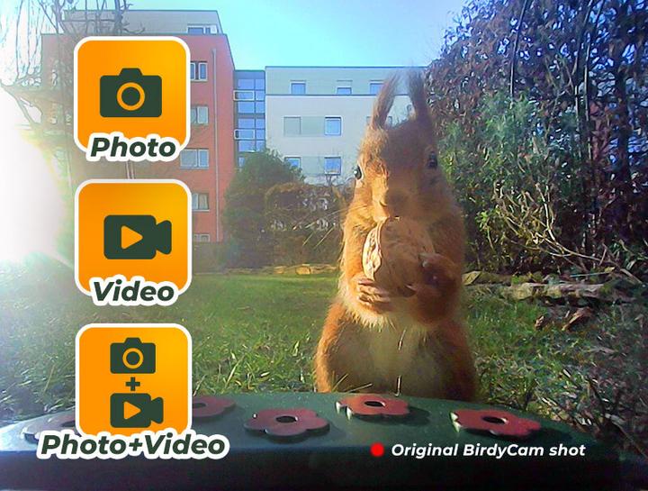 Produktbild Easypix BirdyCam