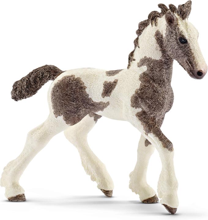 Actual product image Schleich Tinker foal