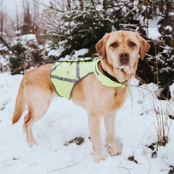 Produktbild Hunter Warnweste reflektierend (S, Hundemantel)