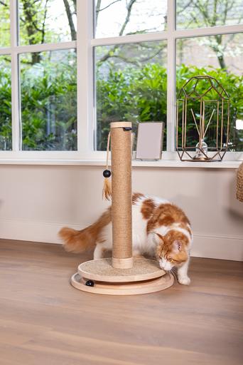 Actual product image Designed by Lotte Zavi (62 cm, Brown)