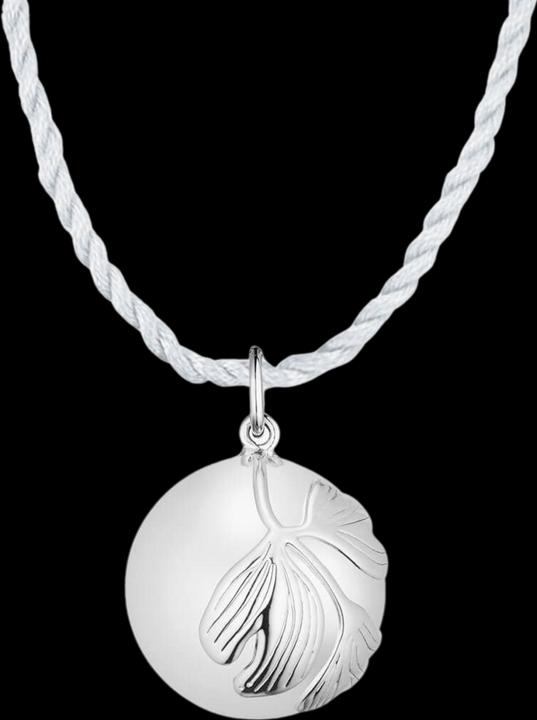 Image du produit Ilado Collier de grossesse Ginkgo (Laiton argenté)