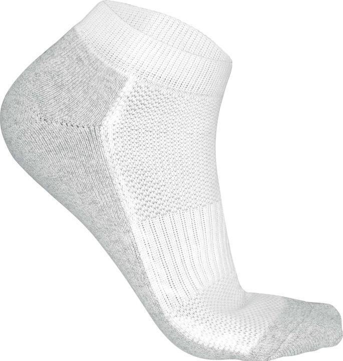 Actual product image Proact Multisports (43, 46)