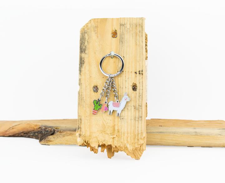Actual product image Troika PAKO key fob