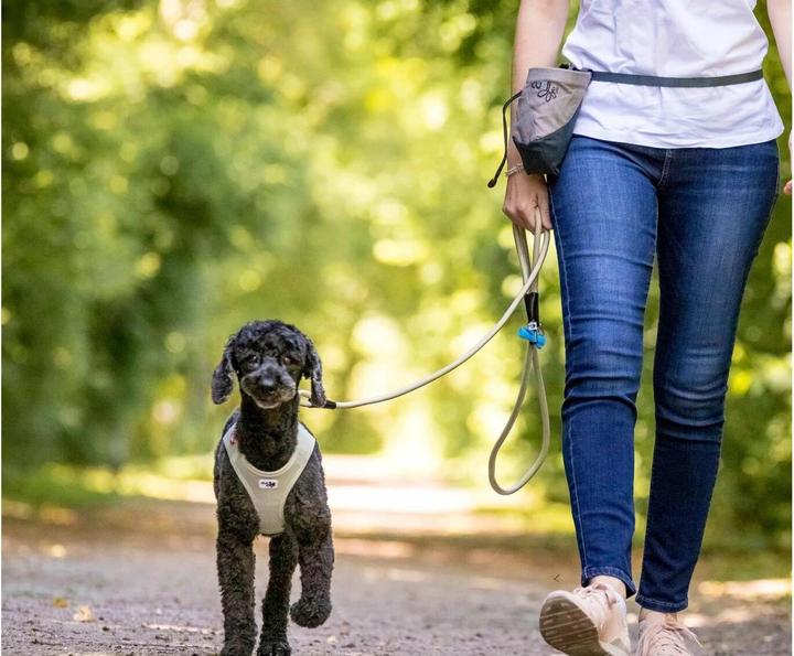 Produktbild Curli Stretch Comfort (M, Hund, Spazieren)