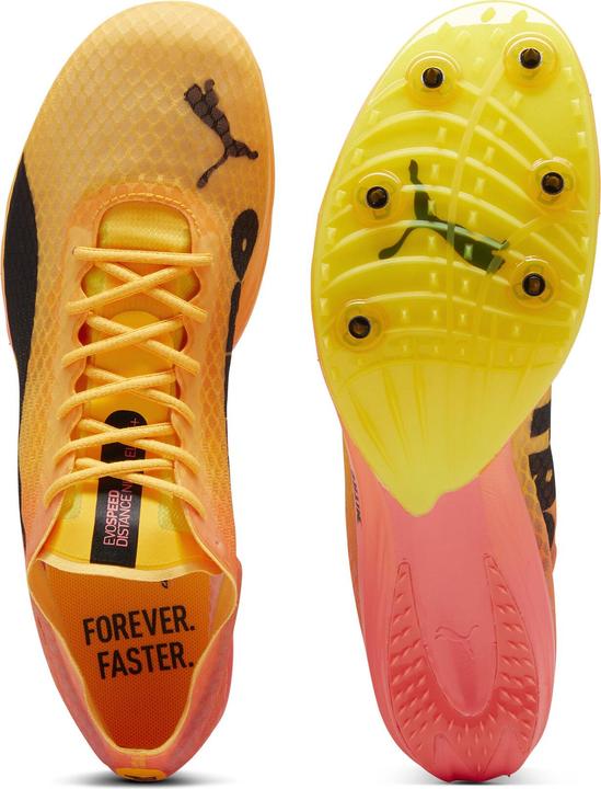 Produktbild Puma evoSPEED Distance Nitro Elite+ 4 (42.5)