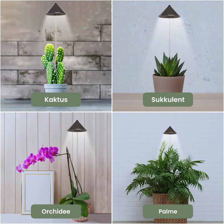 Immagine prodotto Colibri Grigio SUNLiTE (LED, 230 V)