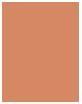 Produktbild Dermacol Pretty Matte (02)