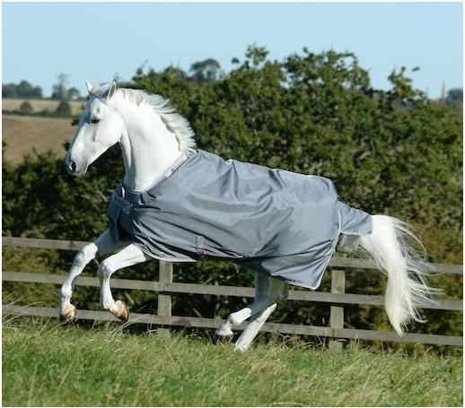 Produktbild Bucas Weidedecke Smartex Rain (145 cm)