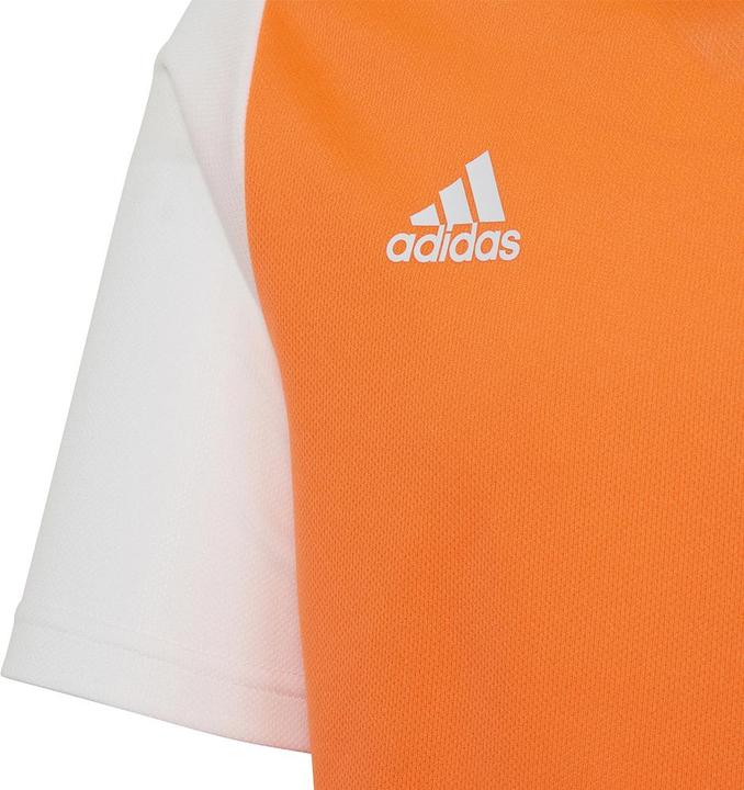Actual product image adidas Estro 19 Jersey Kids (164)