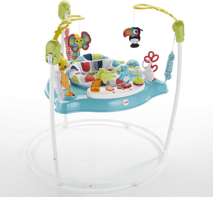 Image du produit Fisher-Price Amis des animaux Jumperoo