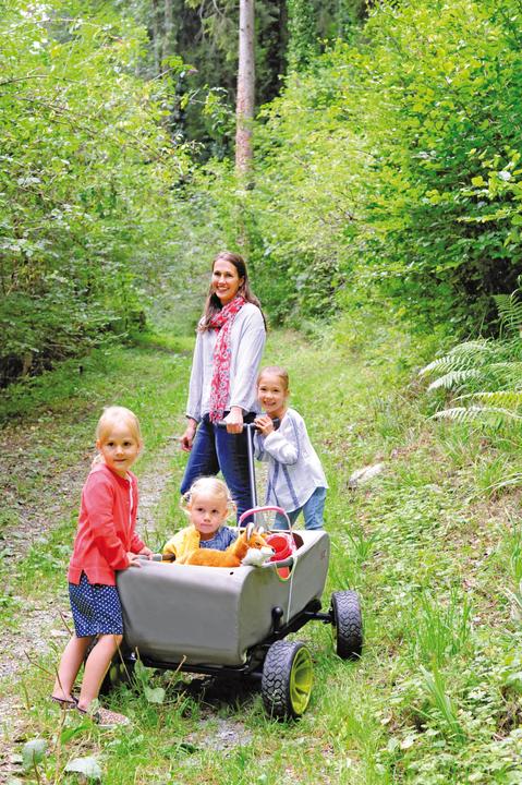 Actual product image Hauck Forest