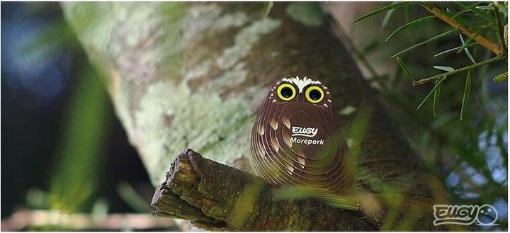 Image du produit Eugy Hibou